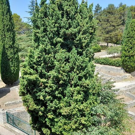 Grande Terrasse Et Vue Sur Le Site Antique Apartment Vaison-la-Romaine Exterior photo